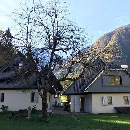Cozy Cottage In The Heart Of The Triglav National Park 索卡 外观 照片