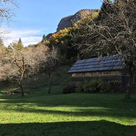 Cozy Cottage In The Heart Of The Triglav National Park 索卡 外观 照片