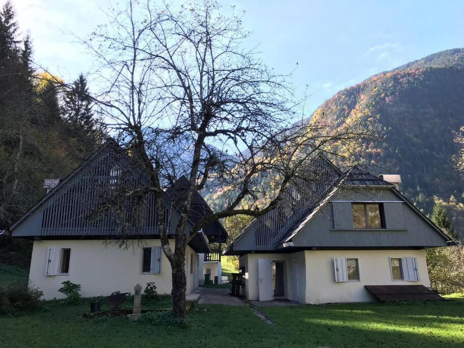 Cozy Cottage In The Heart Of The Triglav National Park 索卡 外观 照片