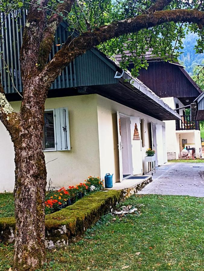 Cozy Cottage In The Heart Of The Triglav National Park 索卡 外观 照片