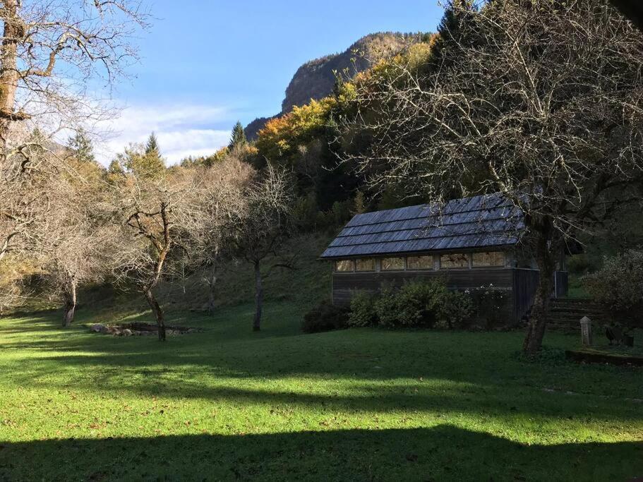 Cozy Cottage In The Heart Of The Triglav National Park 索卡 外观 照片