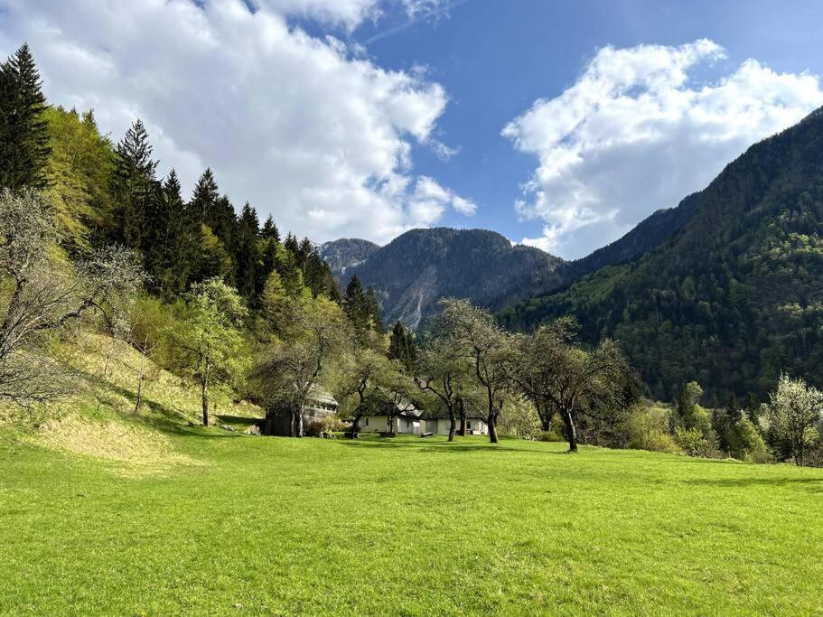 Cozy Cottage In The Heart Of The Triglav National Park 索卡 外观 照片