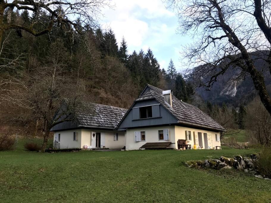 Cozy Cottage In The Heart Of The Triglav National Park 索卡 外观 照片