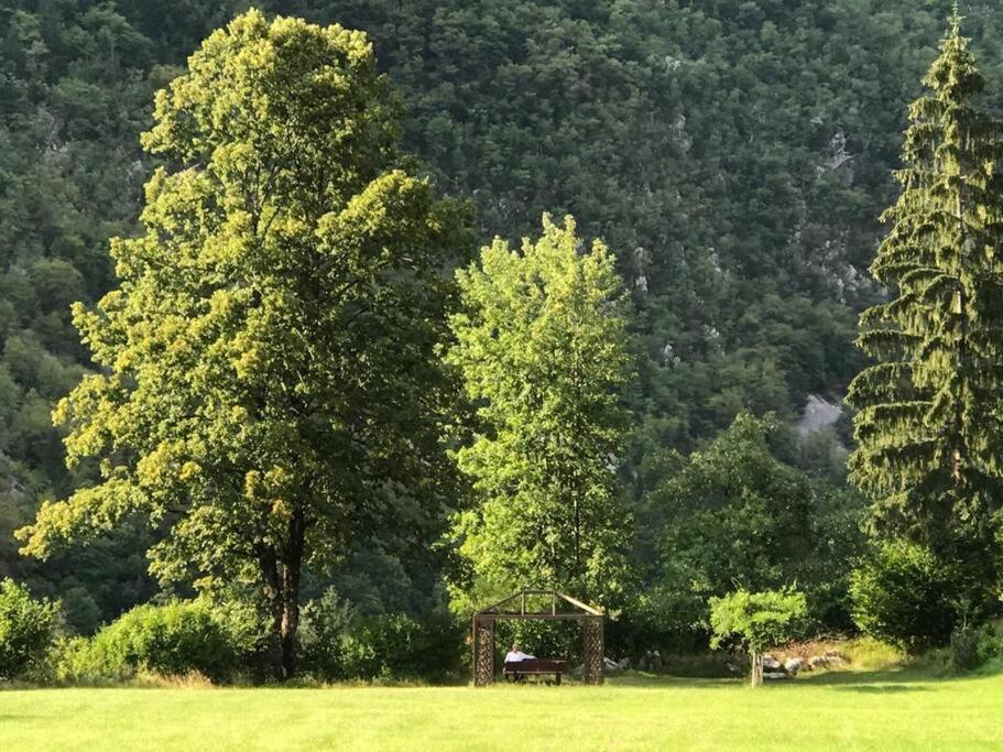 Cozy Cottage In The Heart Of The Triglav National Park 索卡 外观 照片