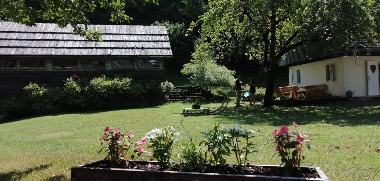 Cozy Cottage In The Heart Of The Triglav National Park 索卡 外观 照片