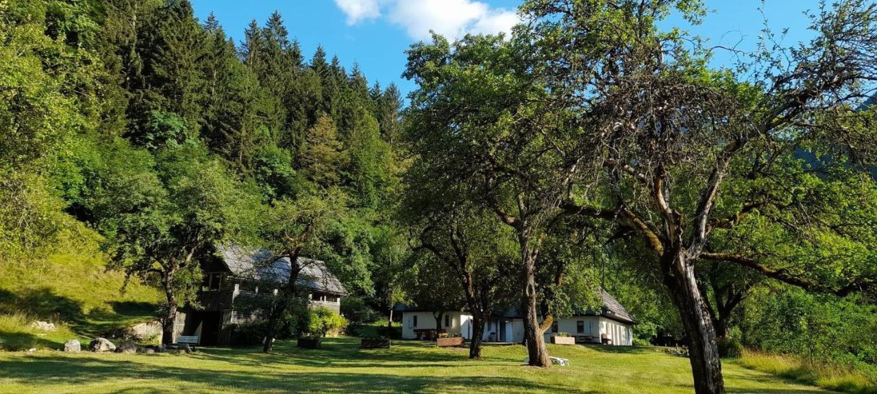 Cozy Cottage In The Heart Of The Triglav National Park 索卡 外观 照片