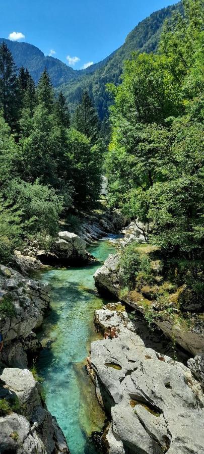Cozy Cottage In The Heart Of The Triglav National Park 索卡 外观 照片