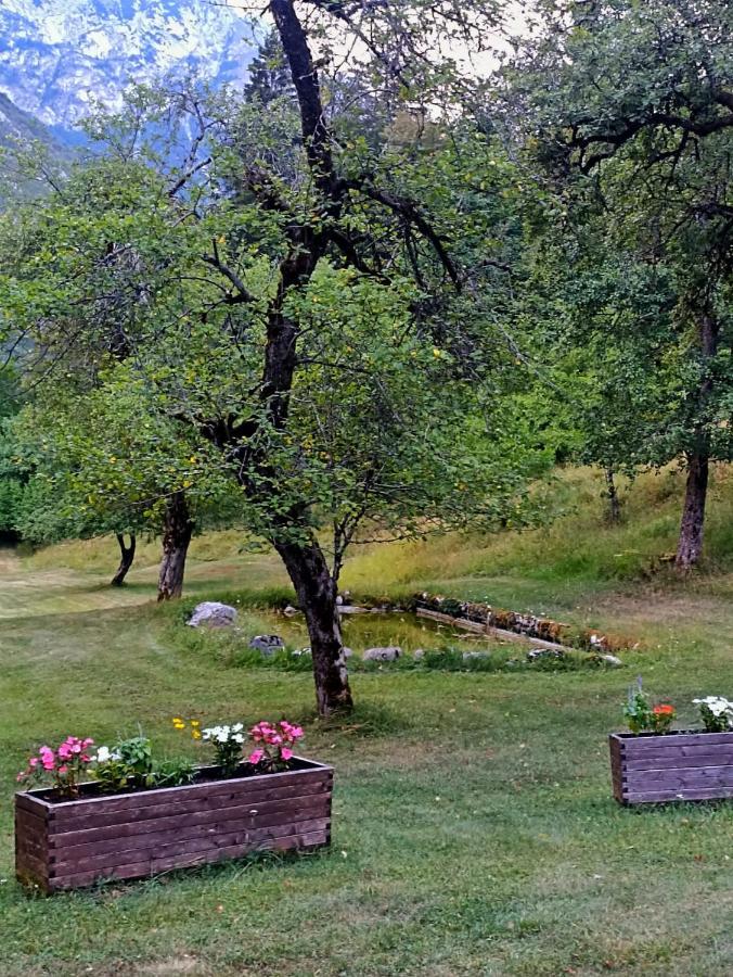 Cozy Cottage In The Heart Of The Triglav National Park 索卡 外观 照片