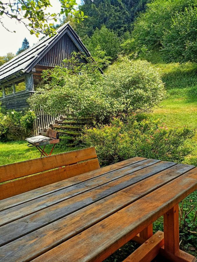 Cozy Cottage In The Heart Of The Triglav National Park 索卡 外观 照片