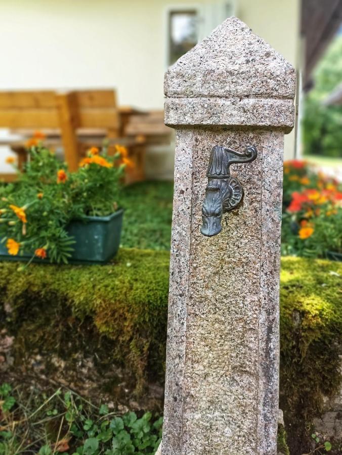 Cozy Cottage In The Heart Of The Triglav National Park 索卡 外观 照片